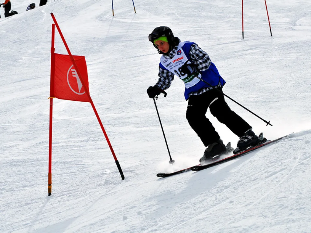 Skifahrer im blau-weißen Leibchen am roten Tor.